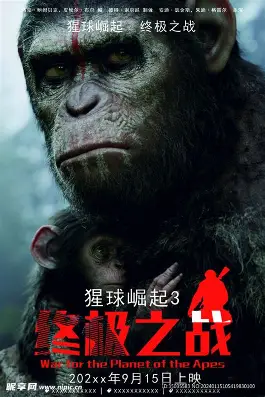 影视大全热播内容